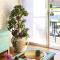 Simply delightful unit close to CBD and Beach