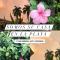 Las Brisas Resort and Villas