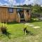 Pembrokeshire Shepherd hut with hottub - Jordanston