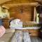 Pembrokeshire Shepherd hut with hottub - Jordanston