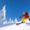 Gorgeous 1st FL Mtn View Jiminy Suite Sleeps 4 Ski On Off - هانكوك