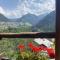 Chalet 4 pièces avec balcon, BBQ, parking, WIFI à Châtel - FR-1-676-43 - 沙泰勒