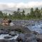 Natya River Sidemen