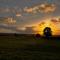 Trossachs Barn & Cabin - boutique B&B