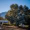 Dolittle Cottages - Swellendam