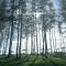7 Heaven camping Lanta