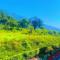 Wanderers inn- beautiful hills view - Dehradun