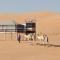 Hamood Desert Private Camp