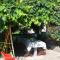 Apartman Mirna