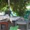 Apartman Mirna