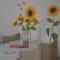 Apartman Mirna