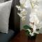 Canal Deluxe Room Stay Kota Bharu