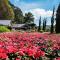 Unique Garden