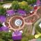 Unique Garden