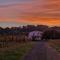 La casa nella vigna [colline del vino]