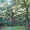 The perfect Little Cottage for your gateway! - Umatilla