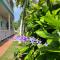 Boundless Bliss Hotel - Nazareth