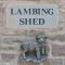 Lambing Shed - Uk12380 - Lydney