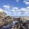 Puffin Burrow - Portmellon