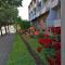 Apartman Borak