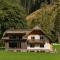 Alpenrose Boutique Chalet Gretl - رامساو أم داتشستين