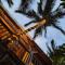 OHANA Jungle Lodges