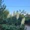 Location Bastia, U Fiumicellu. Vue Mer. Jacuzzi, Barbecue,... Pour 2 personnes - Bastia