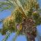The Heart of Hacienda Riquelme