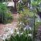 Casa Flora Garden Studio (Gite)