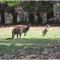 Discovery Parks - Kangaroo Island - Flinders Chase