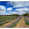 Discovery Parks - Kangaroo Island