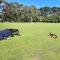 Farm Stay HARMONY Cottage at Wilindi Estate