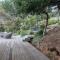 Cooks Lookout McCrae