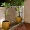 La Tamara Luxury - TIE Hotels & Resorts