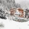 Heimat Apartments - Zillertal