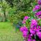 Romantic Retreat with Spa and Private Gardens