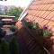 Apartament Piwna - Gdańsk