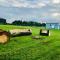 The Snuggly Sheep Farm Stay Shepherd Hut - Ballyshannon