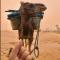 Sahara Camp Light