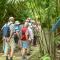 Veragua Rainforest