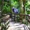 Veragua Rainforest