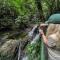 Veragua Rainforest