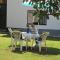 Guest House Olbina