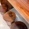 NHOA 302A Lux 2BR Condo Top Jungle View Aldea Zama
