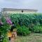 Maison F3 à Céret avec jardin, terrasses et climatisation, proche centre-ville - FR-1-703-96
