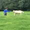 The Snuggly Sheep Farm Stay Shepherd Hut - Ballyshannon