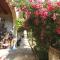 Resort Villa Manin