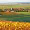 Entre Vignes Et Marais - Vert-la-Gravelle