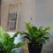 Les Suites Massena