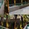 Vitrali Studio Moema - 圣保罗